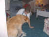 DSCF0017.JPG (87005 bytes)
